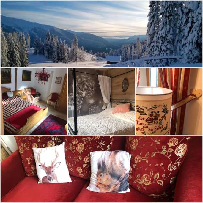 Holiday Guesthouse La Casina Di Butzi Pet Friendly - Terme Di Arta - Zoncolan Арта-Терме Экстерьер фото